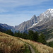 Sul sentiero in vista del rifugio Bonatti: Monte Bianco, cresta di Peutérey e in fondo la Val Veny.