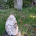 Diesen schönen Stein habe ich hier auf dem Habrütispitz gefunden und musste ihn einfach gut sichtbar platzieren