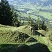 Im Abstieg zur Oberen Tweralp ein Blick ins Goldingertal