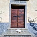 Il cane da guarda di Bordei dorme davanti alla porta della chiesa