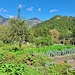I giardini di Bordei