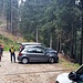 Parcheggio Q1530 per Rifugio Alpe Piazza.
La strada che vedete in alto a sinistra sarà il nostro percorso di discesa, è la via più breve e diretta per il rifugio