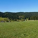 auf der Weißenbacher Höhe