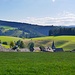 Neukirch