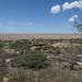 Blick in die Serengeti Steppe vom Naabi Hill