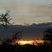 Sonnenuntergang mitten in der Serengeti