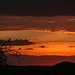Serengeti Sundowner (3)