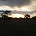 zweiter Sonnenuntergang in der Serengeti..