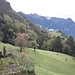 Blick von Erbi nach Rotenboden, hinten Rappastein und Mittlerspitz