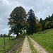 Dem Bergfuss entlang.<br /><br /><br />