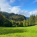 Auf der Wiese unterhalb der Bergerie.<br /><br /><br />