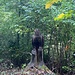Beim Adler, also kurz vor dem Militärstollen (Begehung fakultativ).<br /><br /><br />