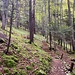 Aufstieg gegen die Bergerie d'Eschert.<br /><br /><br />