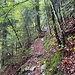 Schöne Stelle, wo man in die Combe eintritt.<br /><br /><br />