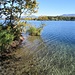 L'acqua trasparente del Lago di Monate