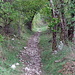 wieder auf dem Wanderweg