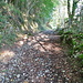 Wanderweg