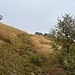 Corte Nuovo 1635 m so gut wie erreicht