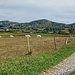 liebliche Landschaft