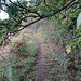 Wanderweg