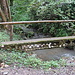 Brücke mit Muschelschalen, Synonym für einen Pilgerweg