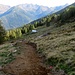 La bella sterrata di nuova realizzazione, probabile pista ciclabile