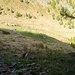 Scendendo dall'Alpe Stavello verso Alpe Combana