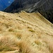 Sentiero per la cima