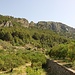 Blick Richtung Puig de Balitx