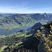 Lauerzersee