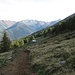 Passaggio dall’Alpe Combana prima di ritornare nei boschi e ricollegarci con la strada sterrata percorsa in mattinata.