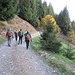 Partiti dal parcheggio sull’ultimo tornante della strada asfaltata poco prima di Laveggiolo, si comincia a seguire la stradina sterrata con andamento pressoché pianeggiante che si inoltra nel bosco.