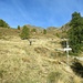 Con il diradarsi della vegetazione compaiono le praterie alpine e le creste delle montagne, mentre a destra si intravede l’Alpe Stavello.