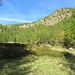 Superate alcune radure e baite in rovina, si continua a salire con pendenza più moderata. Da qui vedremo involarsi una bella aquila  minore che ci ha sorvolati da vicino.