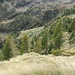 Sulla via del ritorno, prima di arrivare alla Baita di Stavello, in basso a sinistra si vedono le poche baite di Svanolino, da cui si può passare per arrivare alla Bocchetta di Stavello, facendo però dei tratti senza sentiero.