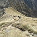 Si inizia a scendere; sullo sfondo a destra si vede bene lo spettacolare sentiero (costruito sempre nel contesto della Linea Cadorna) che sale dalla Valle di Fraina (che si dirama dalla Val Varrone) e arriva anch’esso alla Bocchetta di Stavello.