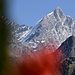 Dom & Täschhorn