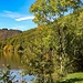 Saarschleife, mit Aussichtsturm hinter der Cloef