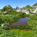 Kleine Tümpel (mit Bergmolchen!) sorgen für Abwechslung in der nun wieder grüner werdenden Landschaft