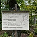 An der Ruine Wagenburg
