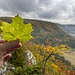Herbstzeit...
