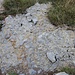 Interessantes Konglomerat-Gestein beim Aufstieg zum Matajur.