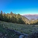 Alpe Torrenzuolo