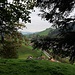 Montée au-dessus de Trubschachen