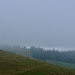 Ambiance automne I