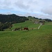 Au-deeus de Grosshorben il y a même un peu de ciel bleu