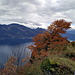 Wasser und Berge sind von überall her auszumachen, hier vom höchsten Punkt Hammetschwand (links von den zwei spitzen Gipfeln der Hochfluh erkennt man den Mythen).
