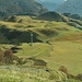 Blick auf die hügelige Landschaft bei der unteren Gaisbühelalpe.