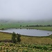 Verlandendes Seelein beim Ruedisegg