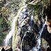 Cascade de l'Andlau 